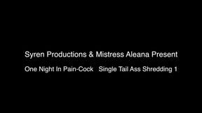 One Night In Pain Cock- Single Tail Ass Shredding Part 1 (MP4 HD)