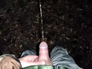 5 times piss on dry leaves in different views compilation