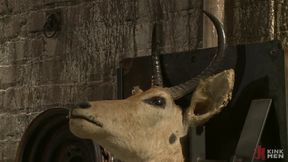 Wings of desire - a bound gods feature presentation