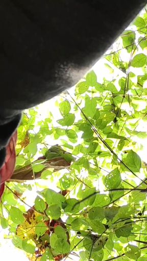 Hot Girlfriend with Wet Pussy and Lots of Orgasms. Loud Groans. Dirty Talk   Clip 3