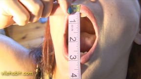 My Mouth's Measure 720p wmv