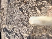 Eating cum of black straight friend´s used condom I found after his fuck