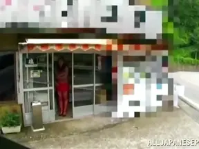 Sultry Japanese Amateur Teases with Pussy Flashing and Bare Tits Show