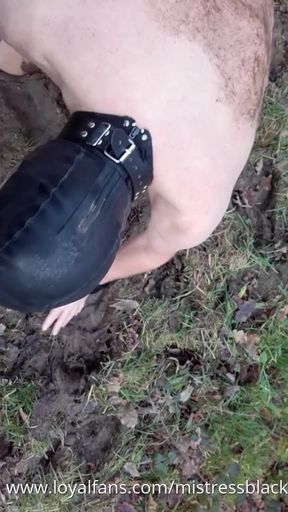 Ball Busting in the Mud