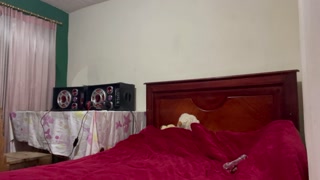 all up the ass at my stepfather's house