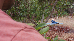 ”NEXTDOOR STUDIOS Gay sex among the avocado trees”