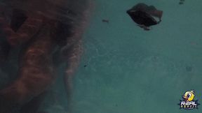 muita far putaria na piscina com as estrelas pornos - rafaella denardin - melissa devassa - nego catra