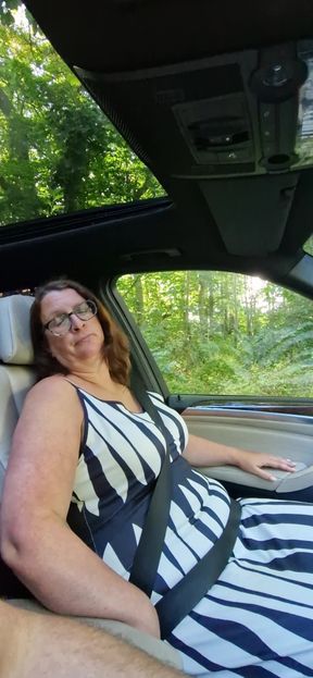 Sex in the Car with a Beautiful, Sexy Stranger