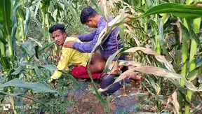 Sun-Drenched Desires: Two Hardworking Men Ignite Passion in Golden Fields – Indian Gay
