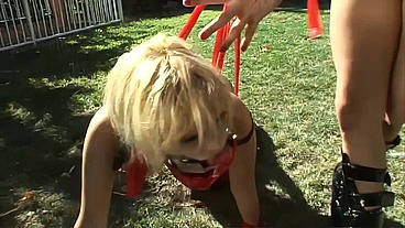 Featuring: Michelle Thorne;Jodie James;Jay Jay;Carly Parker;Tory Lane;Sledge...