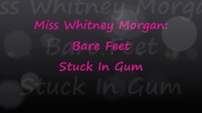 Whitney Morgan: Bare Feet Stuck In Gum - mp4