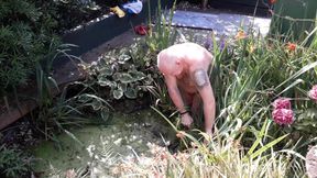 The life of a naked handyman, called next door to clean out the pond