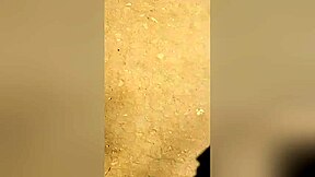 Holly Wood - Astonishing Adult Clip Vertical Video Check , Watch It