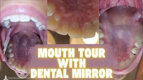 Mouth Tour with Dental Mirror