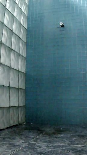 Compiled From the Gorgeous Lidi Ferrari