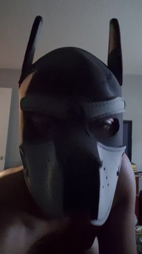 Pup doing his thing