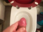 Just a cumshot over the toilet bowl