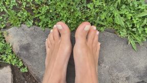Walk after rain