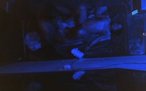 Night Stand with Madharchod Bhabhi Fucked Her Gandi Gali Sex Porn