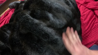 A long black fur-coat
