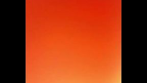 nesha dewright n harlem jawn