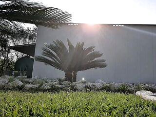 grosso cazzo squirta litri di precum, sborra all&#039;aperto IG:Dodgyitalian199