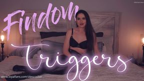 Findom Triggers