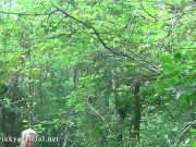 Angel Wicky Brazilian forest