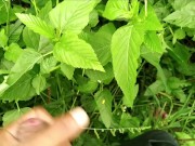 Indian cock beautiful Cumming cumshot💦💦