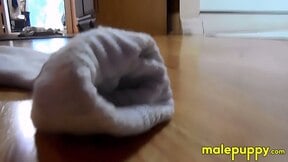 You slowly move through the house to see the giant Jeff Drizzle relaxing