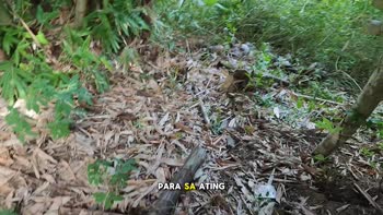 TheGreatDylan's Jakol Pinoy: KANTUTAN Secrets Uncovered