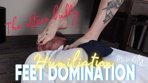 Miss Lilly, the CEO, bullies the pathetic office boy. Ignored under the table. Slaps and spits on his face. Humiliation and Feet domination.