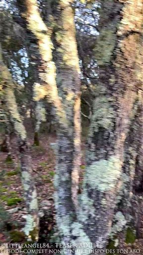 Littleangel84 Promenons nous dans les bois