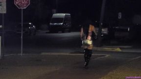 Premium Hooker Fucked No Condom