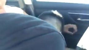 Public Blowjob Fun: Outdoor Handjob and Masturbation 4