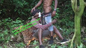 compilation of public fucking in an outdoor plantation. a live exclusively on xvideos