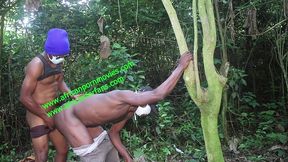 compilation of public fucking in an outdoor plantation. a live exclusively on xvideos