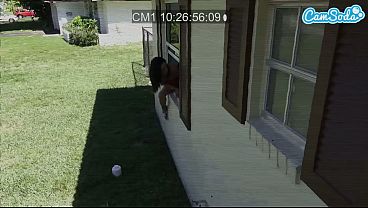 Girlfriend is tired of quarantine gets dicked down