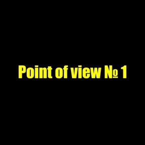 Point of view 1