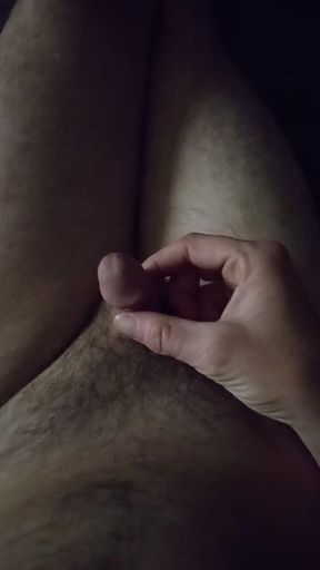 Party dick