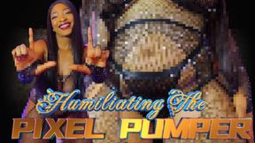 Humiliating The Pixel Pumper