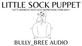Little Sock Puppet Custom Audio