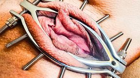 play with Shione Cooper Clit and Wet Pussy into Adjustable Pussy Clamp so cool orgasm