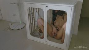 Asian Chastity Pet Locked in a Transparent Cage