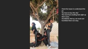 Pure Fart Double Domination