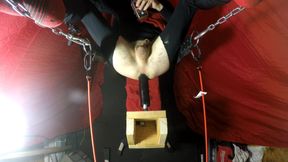 Solo play on 22 inch toy in sling