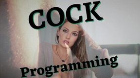 Bratty Bunny - Cock Programming