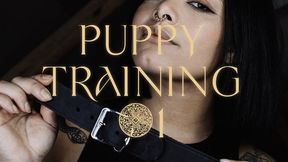 Puppy Training #1