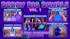 Berry Big Bundle Vol. 1