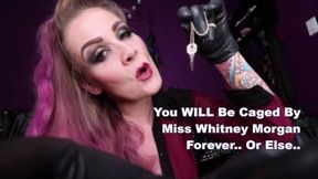 You Will Be Caged By Miss Whitney Morgan Forever Or Else